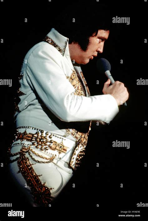 Elvis Presley in concert at the Providence Civic Center on May 23, 1977 Stock Photo - Alamy