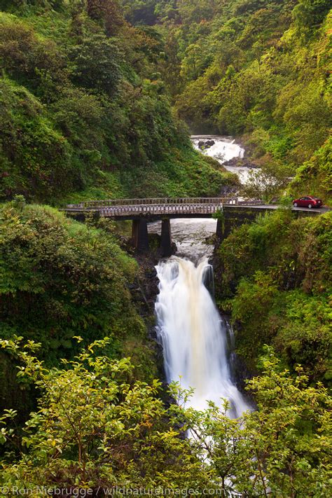 the Hana Highway, Maui, Hawaii. | Photos by Ron Niebrugge