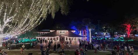 Downtown Mount Dora Christmas Lights - Life in Lake