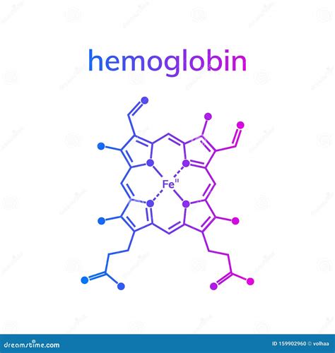 Hemoglobin Molecule Structure