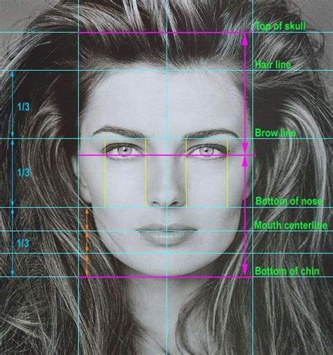 facial proportions - Google-søk:: | Face proportions, Facial proportions, Face proportions drawing