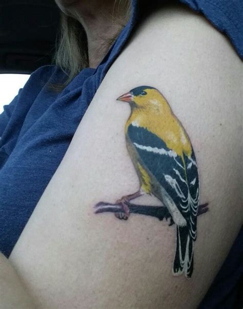 American Goldfinch tattoo by Becky Ashcraft. Finch Tattoo, K Tattoo, Birds Tattoo, Mac Miller ...