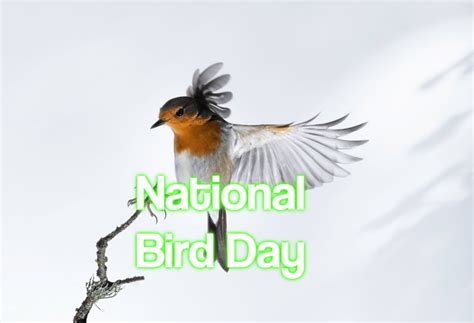 National Bird Day 2024 - When, Where and Why it is Celebrated?