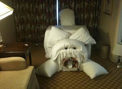 Funny Hotel Pranks