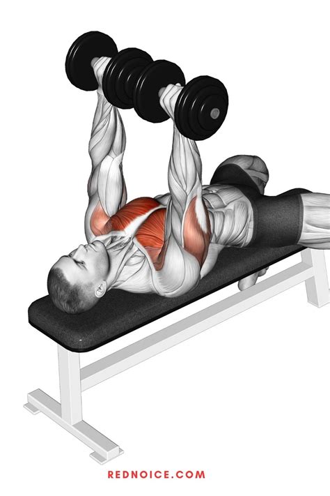 Build Muscle and Burn Fat With This 30-Minute Full-Body Dumbbell Workout