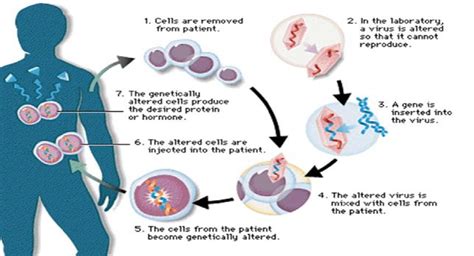 Gene Therapy Process