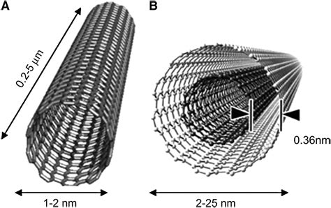 Medicines Delivery Using Nanotechnology.