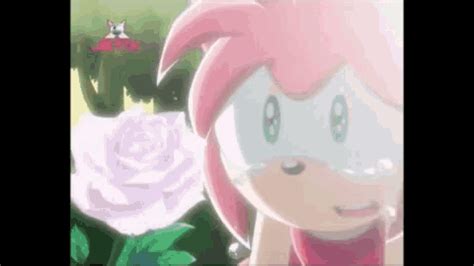 Amy Rose Crying GIF - Amy Rose Crying - Discover & Share GIFs