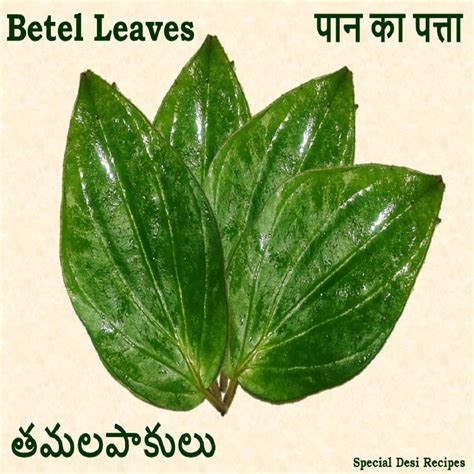 betel leaves dalia upma | తమలపాకు గోధుమరవ్వ ఉప్మా | पान का पत्ता दलिया ...