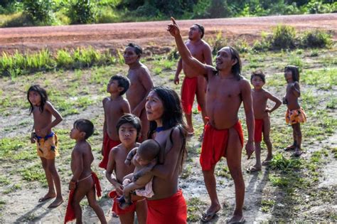 Amazonie: la tribu Waiapi, un voyage entre deux mondes | FranceSoir