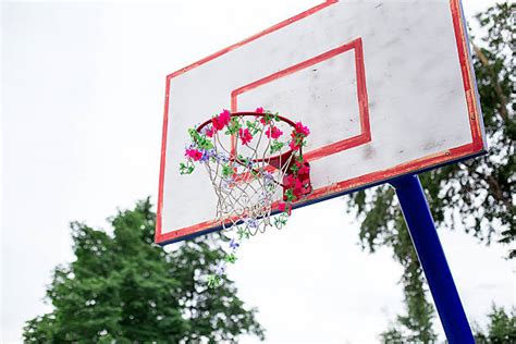 Pink Basketball Court Stock Photos, Pictures & Royalty-Free Images - iStock