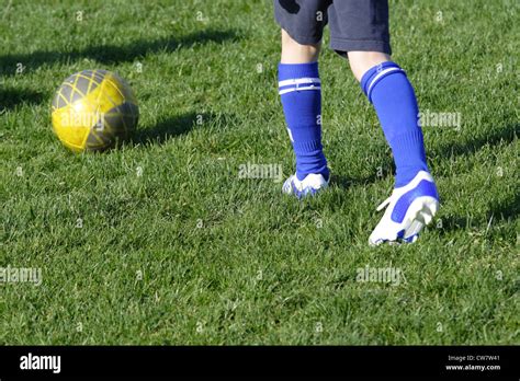 boy on training Soccer the colored photo Stock Photo - Alamy