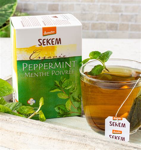 Peppermint Tea - mountsinaibio