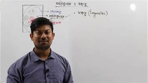 42. সাইটোপ্লাজম ও অঙ্গাণু। Cytosol। Hyaloplasm। Cytoplasmic matrix - YouTube