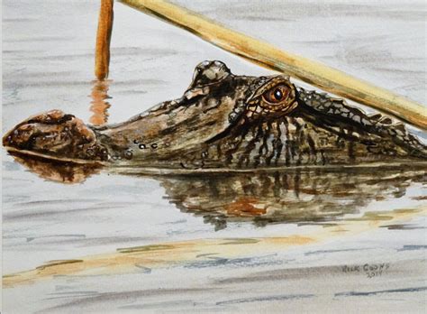 Alligator Head IIR original Watercolor Alligator Art, Gator Painting, Florida Gator, Head of ...