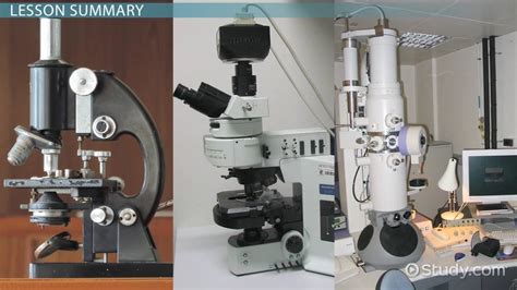 Types of Microscopes: Electron, Light & Fluorescence - Video & Lesson Transcript | Study.com