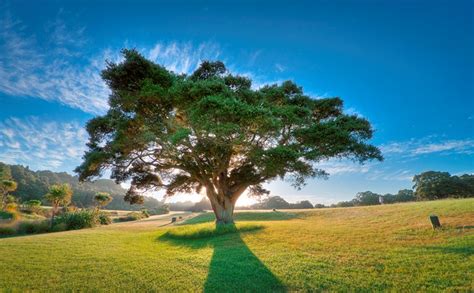 Auckland Botanic Gardens | Auckland Botanic Gardens