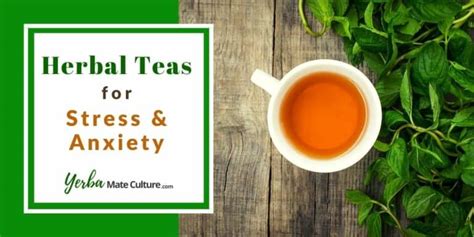 Best Herbal Teas for Stress and Anxiety - Find a Natural Relief!