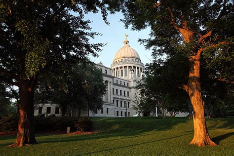 90+ Mississippi State Capitol Photos Stock Photos, Pictures & Royalty-Free Images - iStock