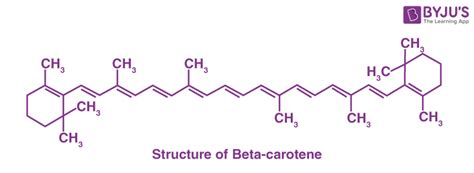 Tabulated Differences between Lycopene and Beta Carotene