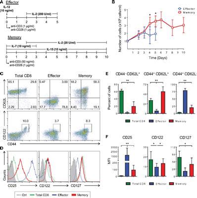 Frontiers | Differentiation of Memory CD8 T Cells Unravel Gene Expression Pattern Common to ...