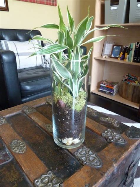 This Hizzy Got Some New Shoes - Our Fifth House | Indoor decor, Plant in glass, House plants indoor