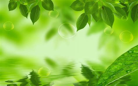 Ayurveda Wallpapers - Top Free Ayurveda Backgrounds - WallpaperAccess