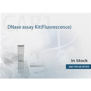 Hzymes DNase assay kit | China | Manufacturer | Hzymes Biotechnology Co ...