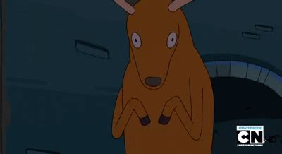 Adventure Time Deer GIF - Find & Share on GIPHY