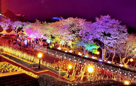 Fun & Free Daegu Travel: Korea Cherry Blossom Festival 2018: “Starlight ...