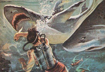 How to Survive a Shark Attack | Shark attack, Art of manliness, Shark