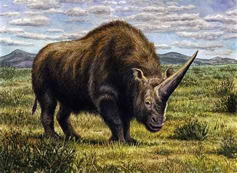 Climate change wiped out the 'Siberian unicorn'