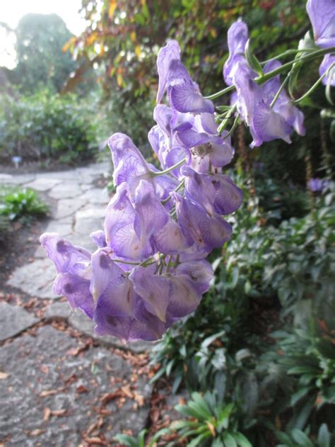 Olbrich in Autumn | Rotary Botanical Gardens