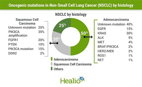 Current Oncogenic Biomarkers in Lung Cancer