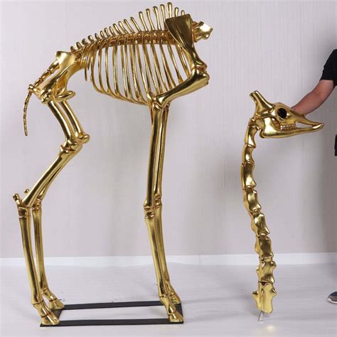 Giraffe Skeleton - Sculpture & Statue