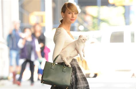 Taylor Swift’s Cat Olivia Benson Is Worth $97 Million, Reportedly – Billboard