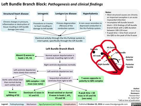 Left Bundle Branch Block: Pathogenesis and clinical findings | Calgary Guide