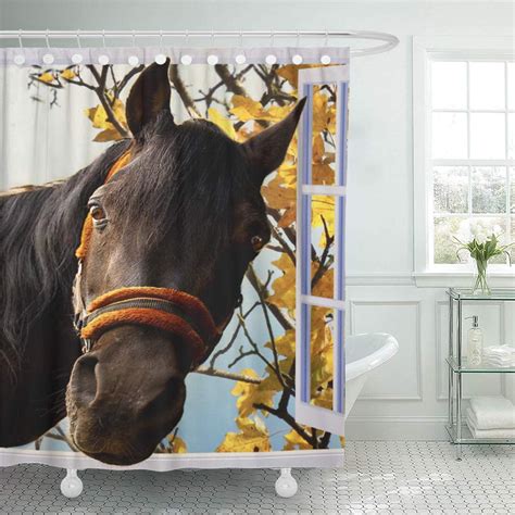 CYNLON Brown Equine Curious Horse Looking Window Pet Friendly Nature Bathroom Decor Bath Shower ...