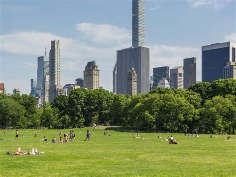 Caring for Urban Parks Amidst the Climate… | Central Park Conservancy