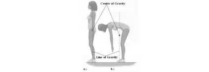 Center of gravity and line of gravity of a human body. | Download ...