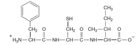 Solved: The structure of a tripeptide is shown here.a) Circle the ... | Chegg.com