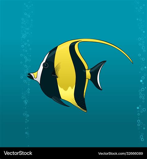 Angelfish Black And Yellow