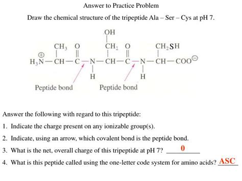 The Tripeptide Is Created As Glycine - Healy Shots