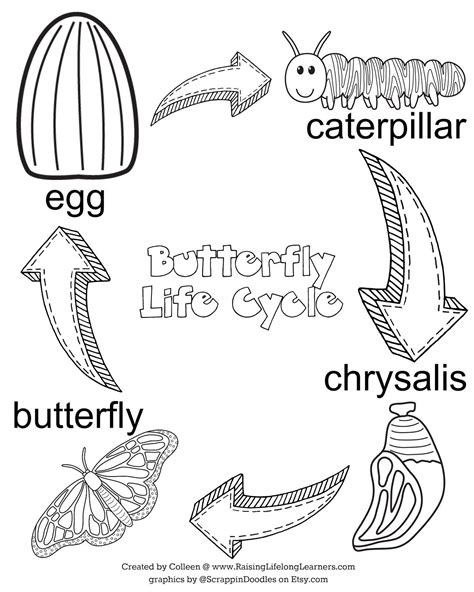 Butterfly Life Cycle Printable Book | Printable Templates Free