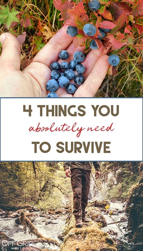 4 Things You ABSOLUTELY Need To Survive! - Off Grid World