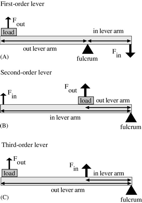 Three basic types of lever mechanisms: (A) first-order lever, (B ...