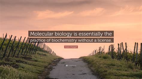 Erwin Chargaff Quote: “Molecular biology is essentially the practice of biochemistry without a ...