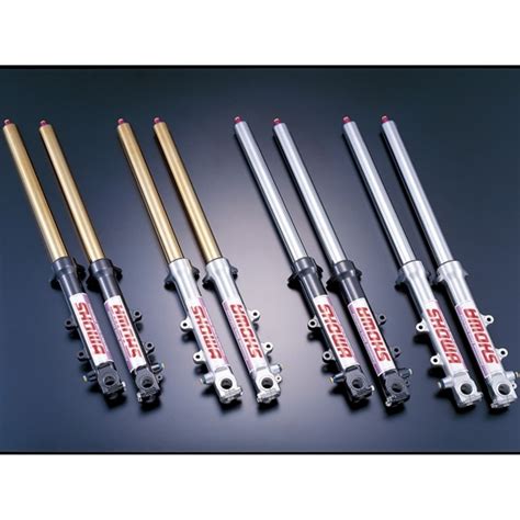 ADVANTAGE : SHOWA Front Fork [Upright] Φ43 [511-S43800-GMK]