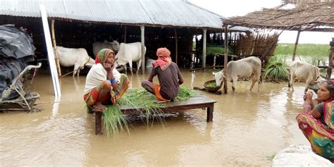 Flood relief work in India - AID