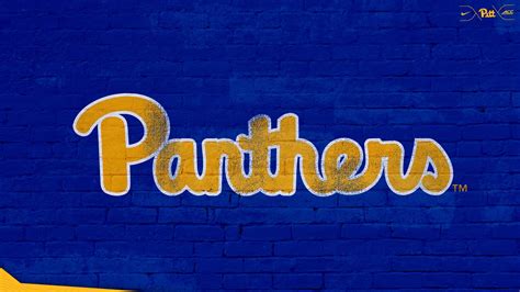 Pitt Panthers Zoom Background | Tech background, Pitt, Pitt panthers